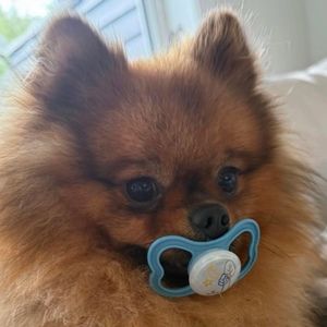 Meet your Posher, Lucci